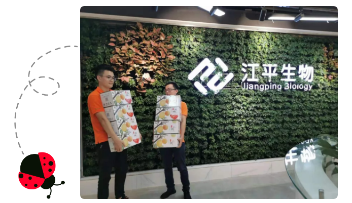 5ddcdd26769e5.png image.png