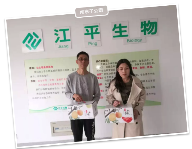 5ddcdd9b45ba2.png image.png