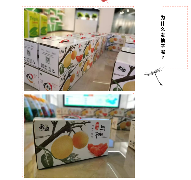 5ddcddb61d116.png image.png