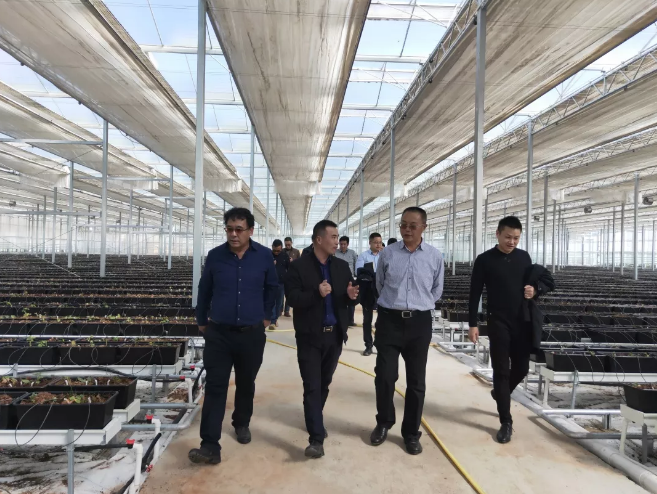 5ddcde9d00333.png image.png