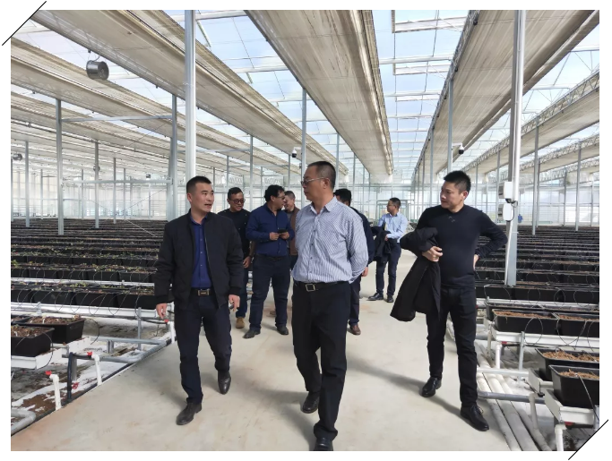 5ddcdec3e4730.png image.png