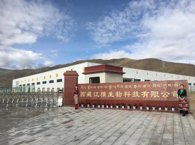 5dde104c3d6eb.png image.png