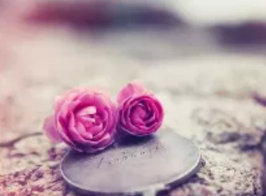 5e0d5b8e5e5dd.png image.png