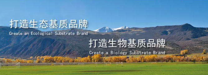 5e1693fe91067.png image.png