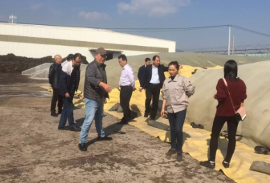 5e240dc5a60ba.png image.png