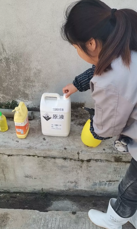 5e537d62cc361.png image.png