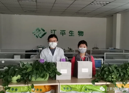 5e6862cd39e72.png image.png