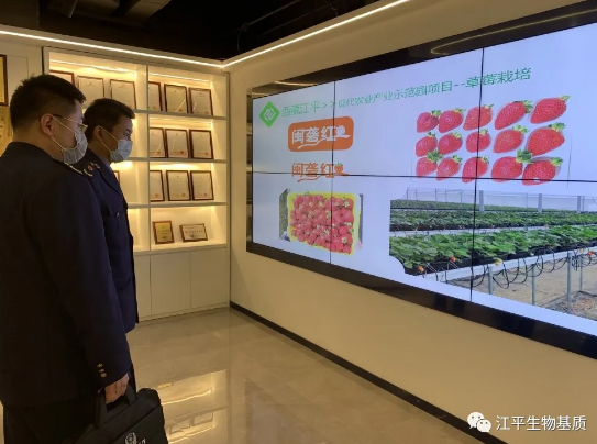 5e6ef2500408d.png image.png