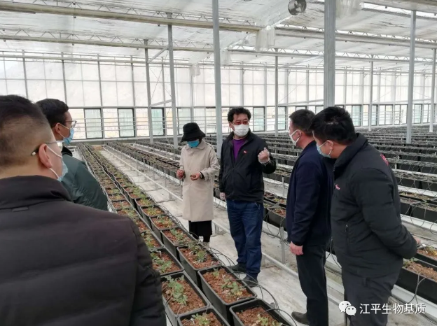 5e72c26c0ee89.png image.png