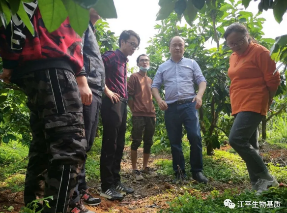 5e82971876891.png image.png