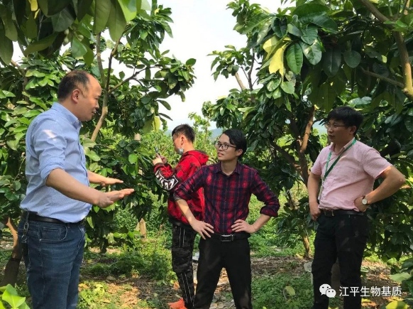 5e8297275a9c3.png image.png