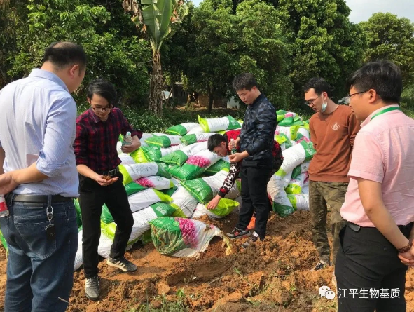 5e82973bd6a58.png image.png