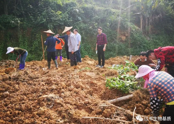 5e82975a37972.png image.png