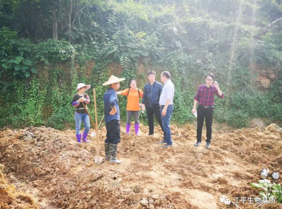 5e829767f2460.png image.png