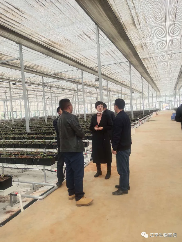 5e858776aa0a5.png image.png