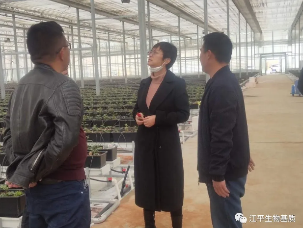 5e8587ab3fc15.png image.png