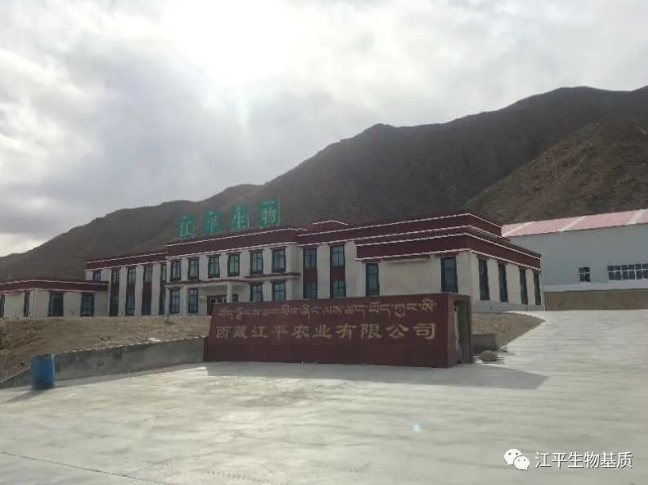 5ea29499f36db.png image.png