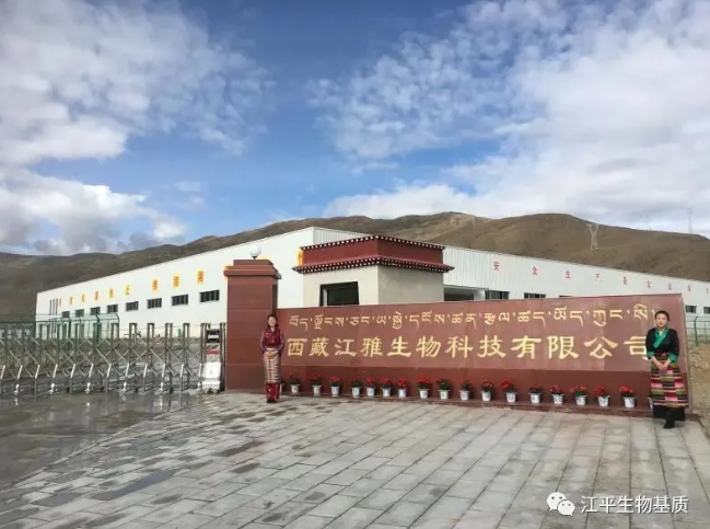 5ea294a8d4391.png image.png