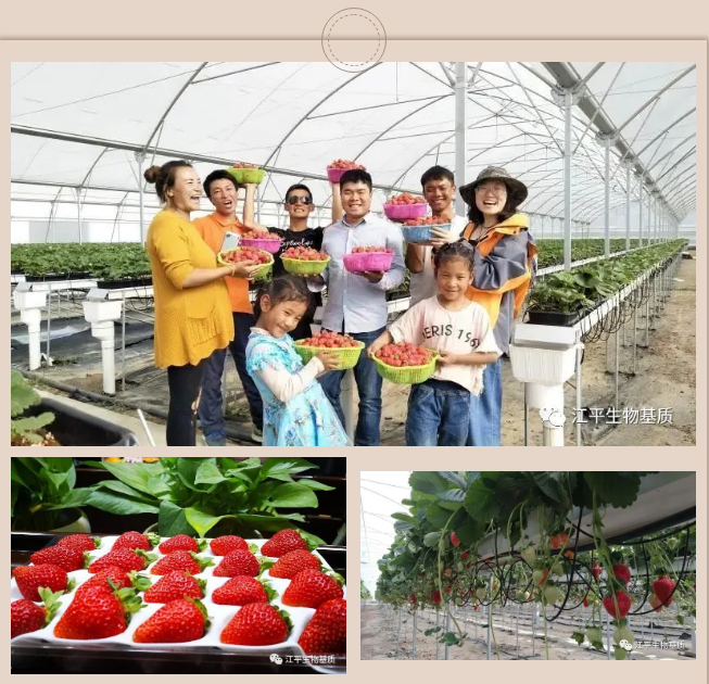 5ea29621abe27.png image.png