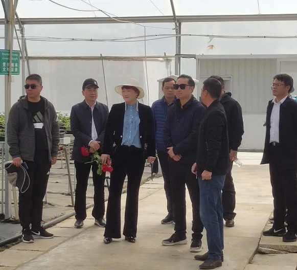 5ecdbbe53e9c2.png image.png