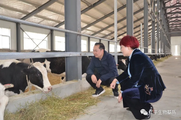 5ecdbc04e6972.png image.png