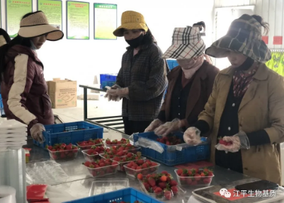 5f0c1a0fbeeaa.png 圖片.png