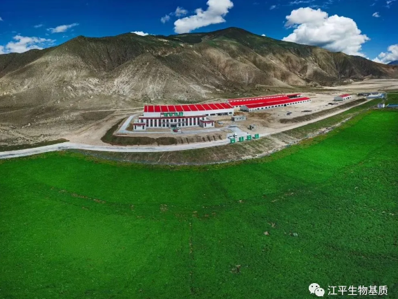 5f1fe10663a87.png image.png