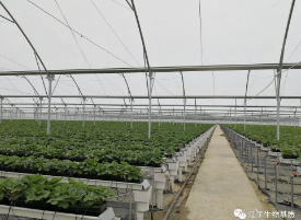 5f1fe1513a1fa.png image.png