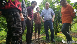 5f1fe13653cdd.png image.png