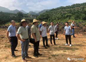 5f28f6bdcd695.png 圖片.png