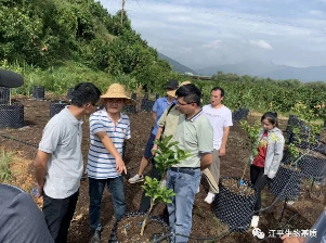 5f28f705dea66.png 圖片.png