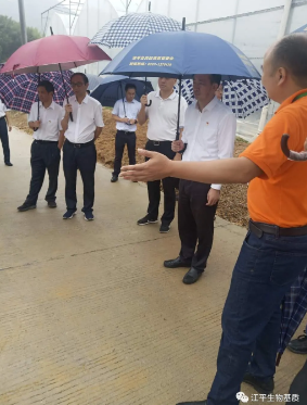 5f334f554ad28.png 圖片.png