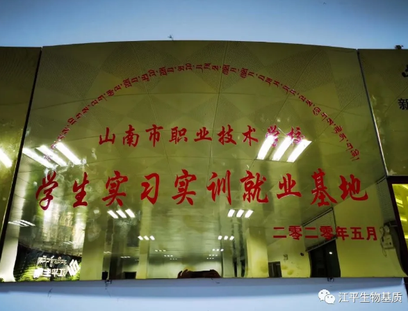 5f3f86d181023.png image.png