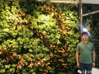 5f445fe85a86a.png 圖片.png