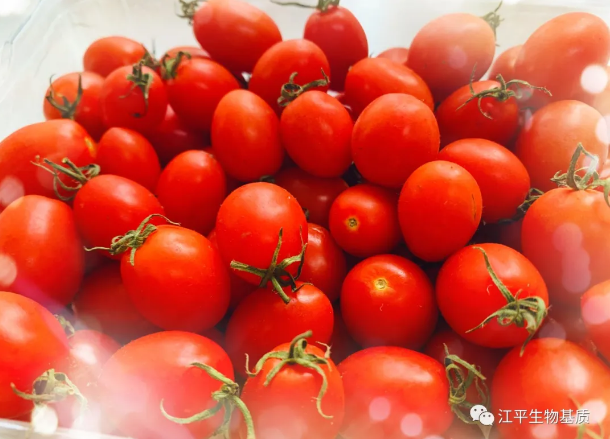 5f6adf0d7c5ea.png 圖片.png