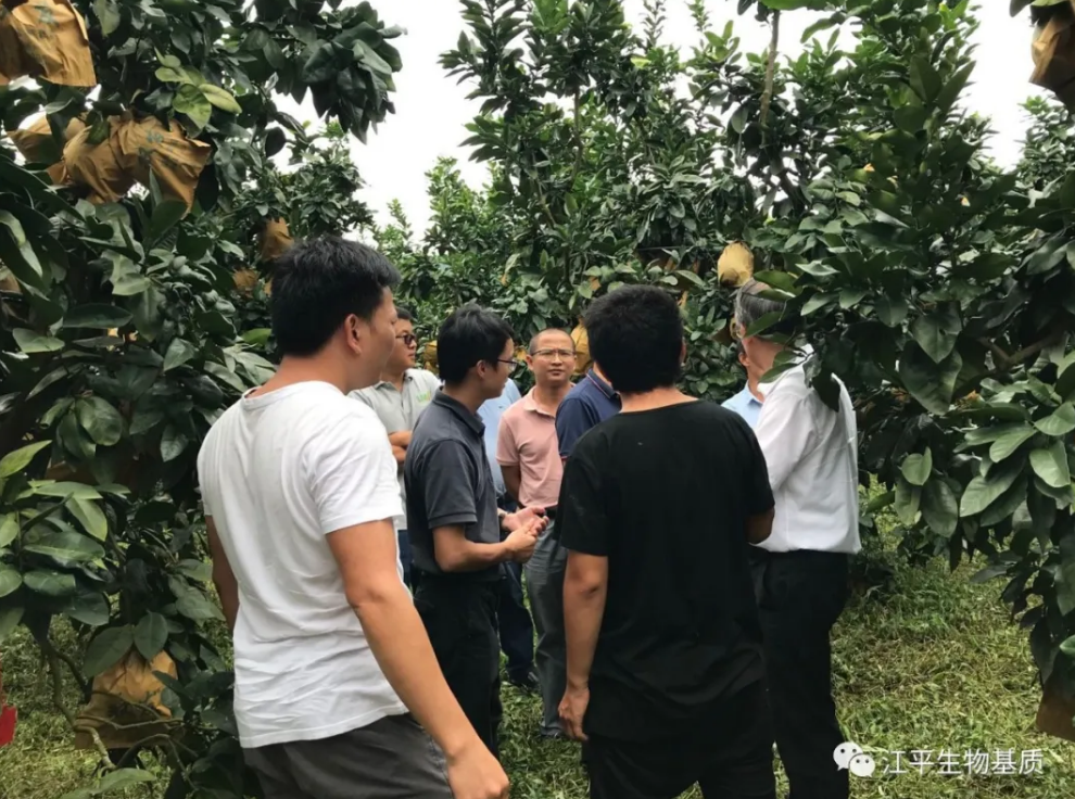 5f72850ea947b.png 圖片.png