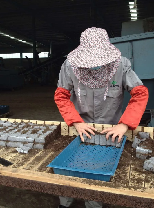 5f855d8e7b928.png 圖片.png