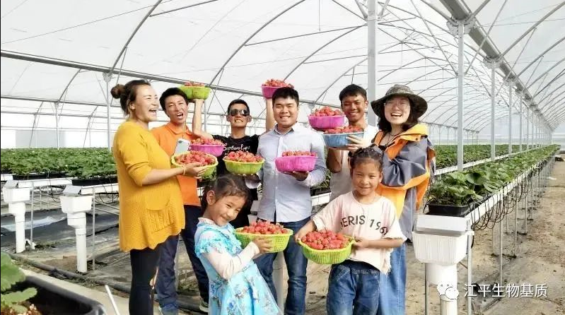 5f8d276ada494.png 圖片.png