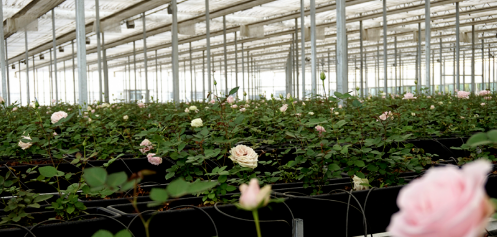 5f8d285013c7e.png 圖片.png