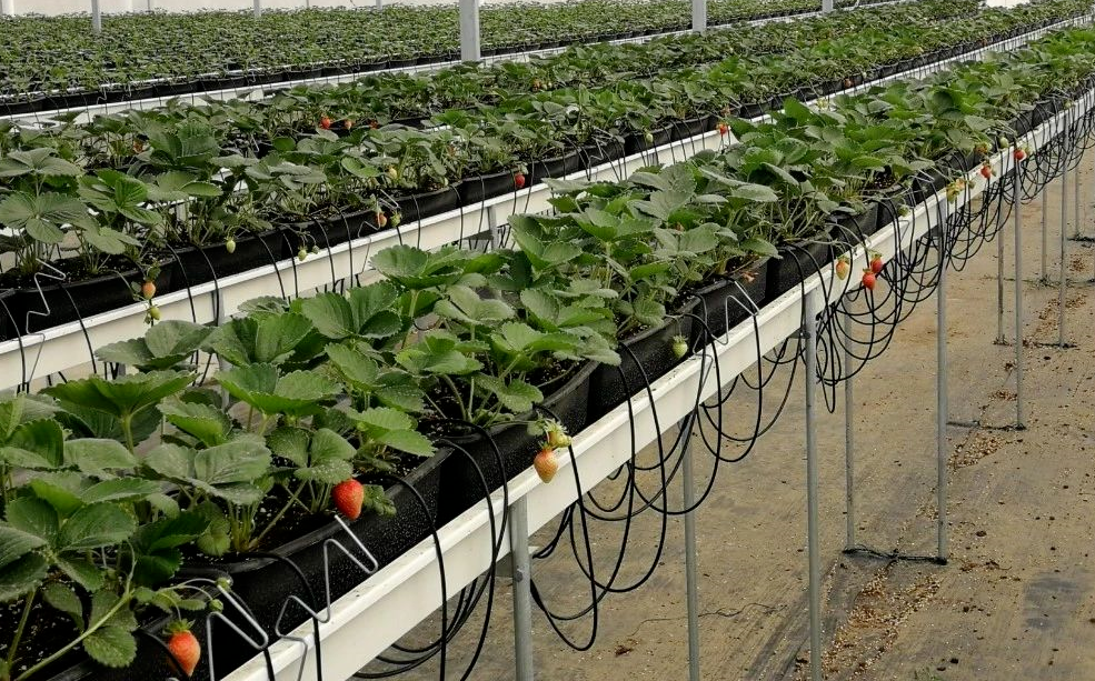 5f8d294f1f36a.png 圖片.png