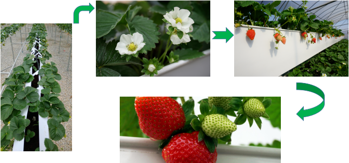 5f92a17aa8f1e.png 圖片.png