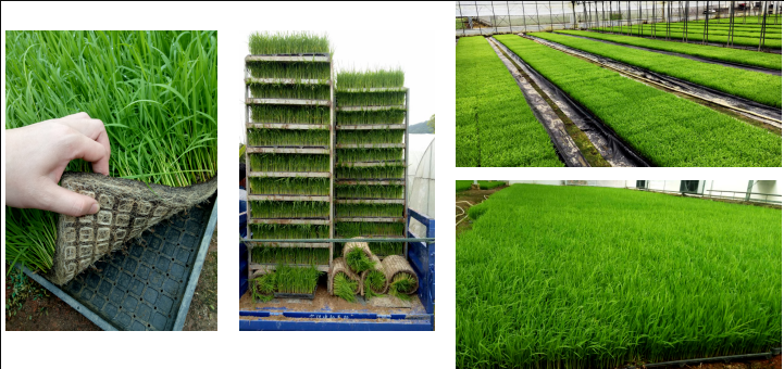 5f92a19458d18.png 圖片.png