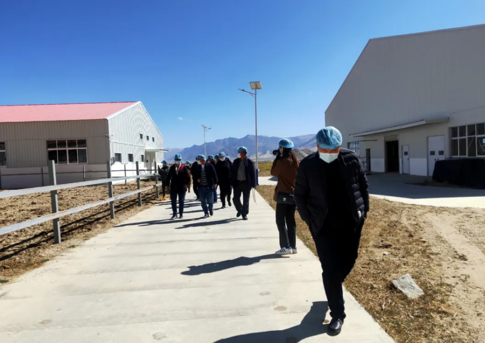 5fab90d52a41c.png 5fab90d52a41c.png