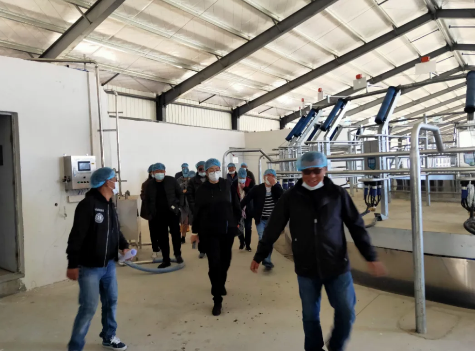 5fab910f672e9.png 5fab910f672e9.png