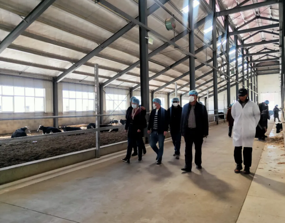 5fab91471dbd2.png 圖片.png