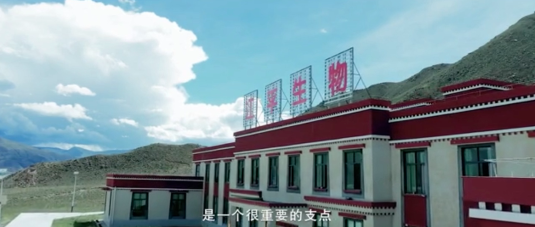 5fad03fc54003.png 圖片.png