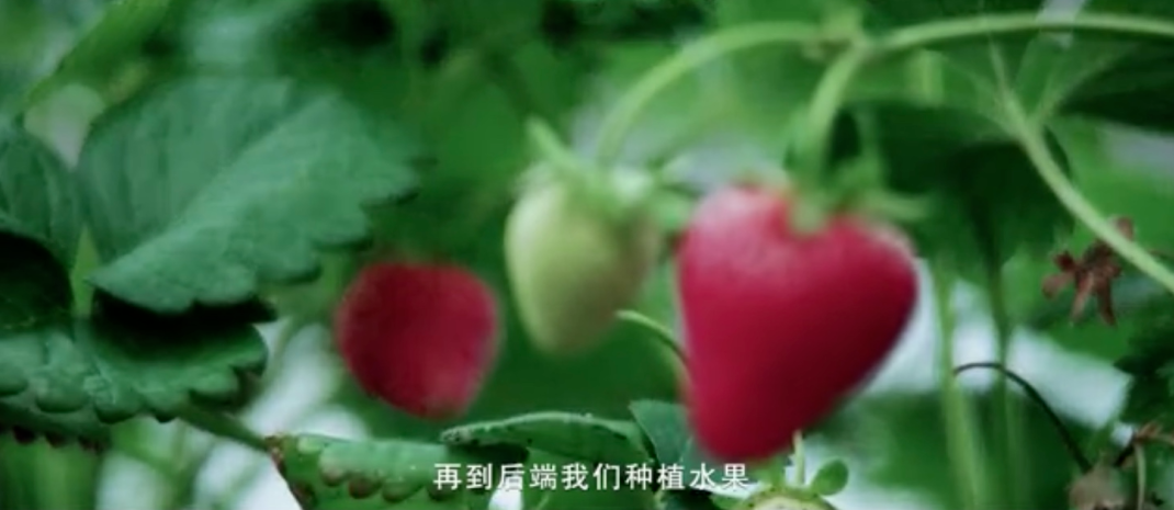 5fad04494e0fb.png 圖片.png