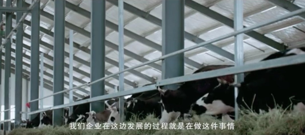 5fad0519a0db5.png 圖片.png