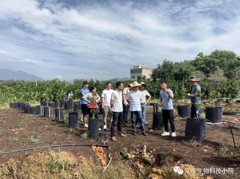 5fb4c1d063360.png 圖片.png